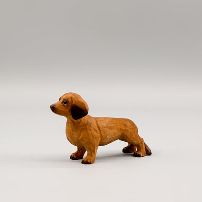 Brown Dachshund