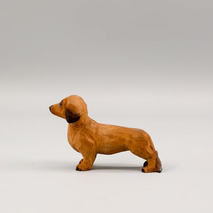 Brown Dachshund