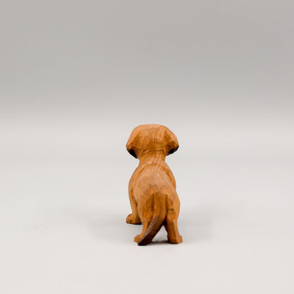 Brown Dachshund