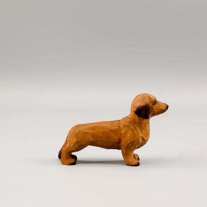 Brown Dachshund