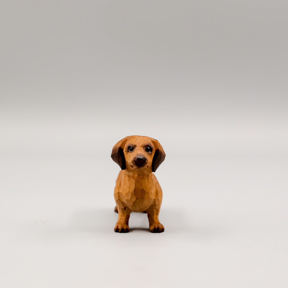 Brown Dachshund