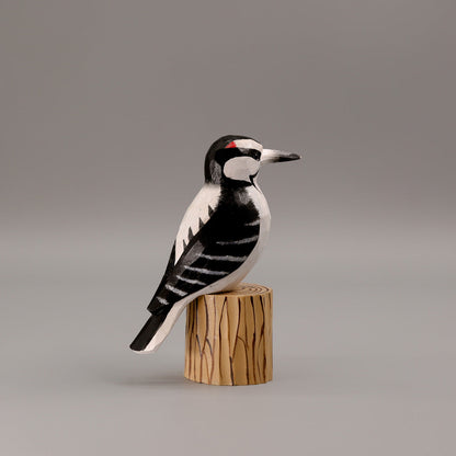 Woodpecker + Stand