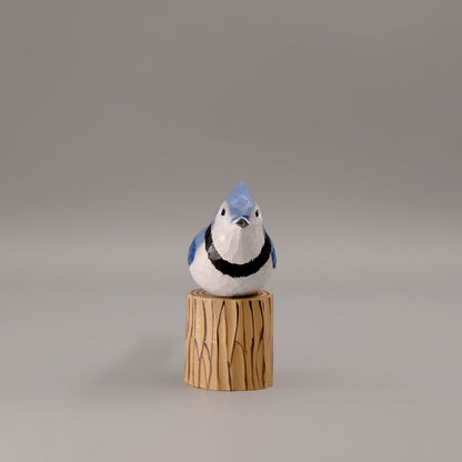 Blue Jay + Stand