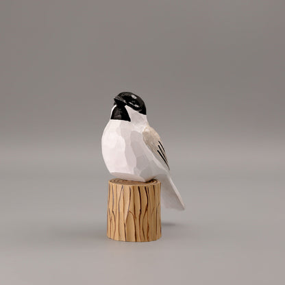 Black-Capped Chickadee + Stand