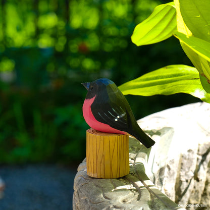 Pink Robin + Stand