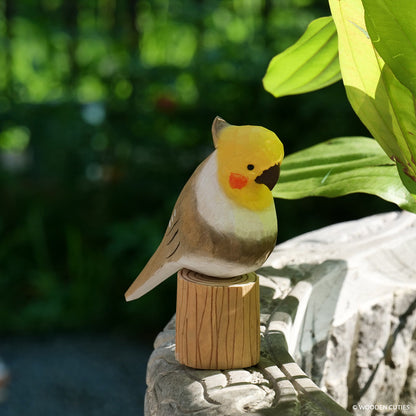 Grijze Cockatiel + Stand