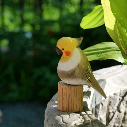 Grijze Cockatiel + Stand