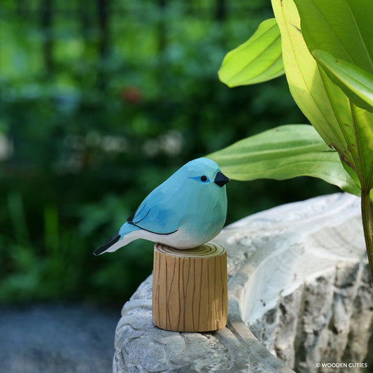 Mountain Bluebird + Stand