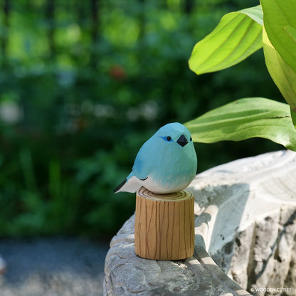 Mountain Bluebird + Stand