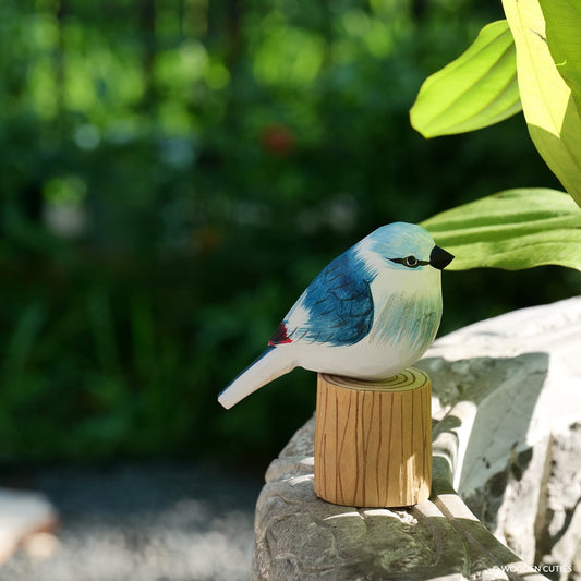 Blue Jay + Stand