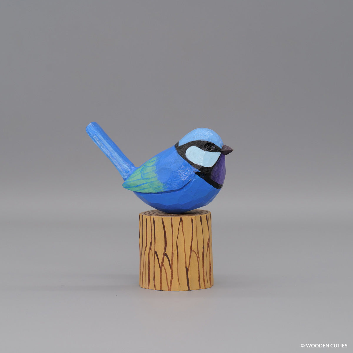 Splendid Fairywren #6 + Stand