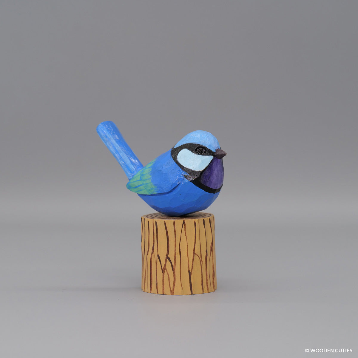 Splendid Fairywren #6 + Stand