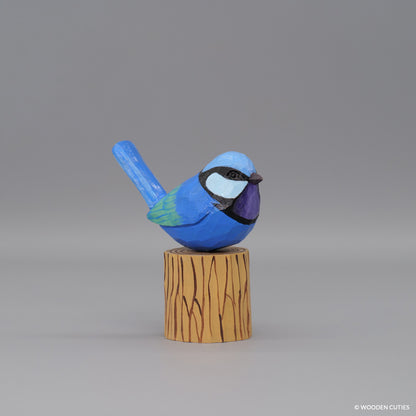 Splendid Fairywren #6 + Stand