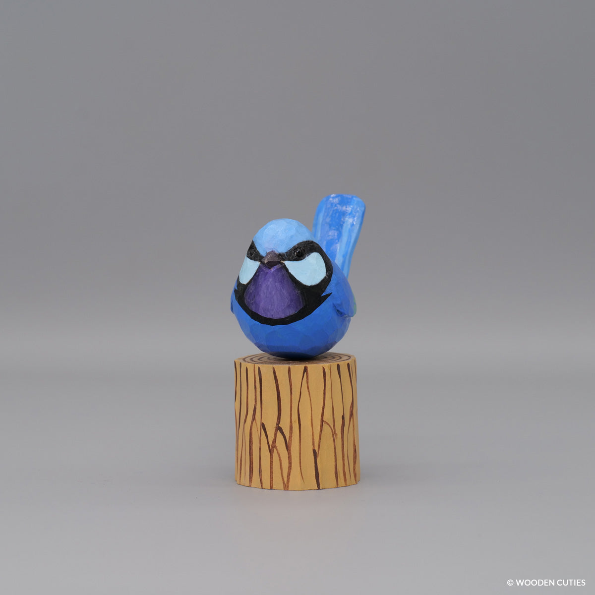 Splendid Fairywren #6 + Stand