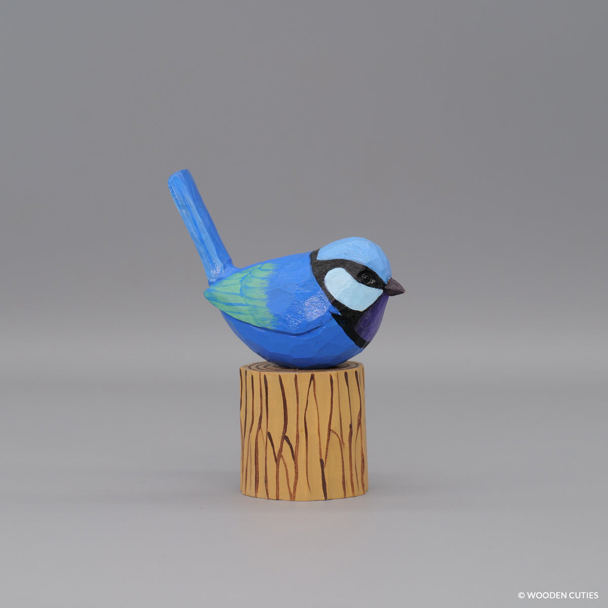 Splendid Fairywren #6 + Stand