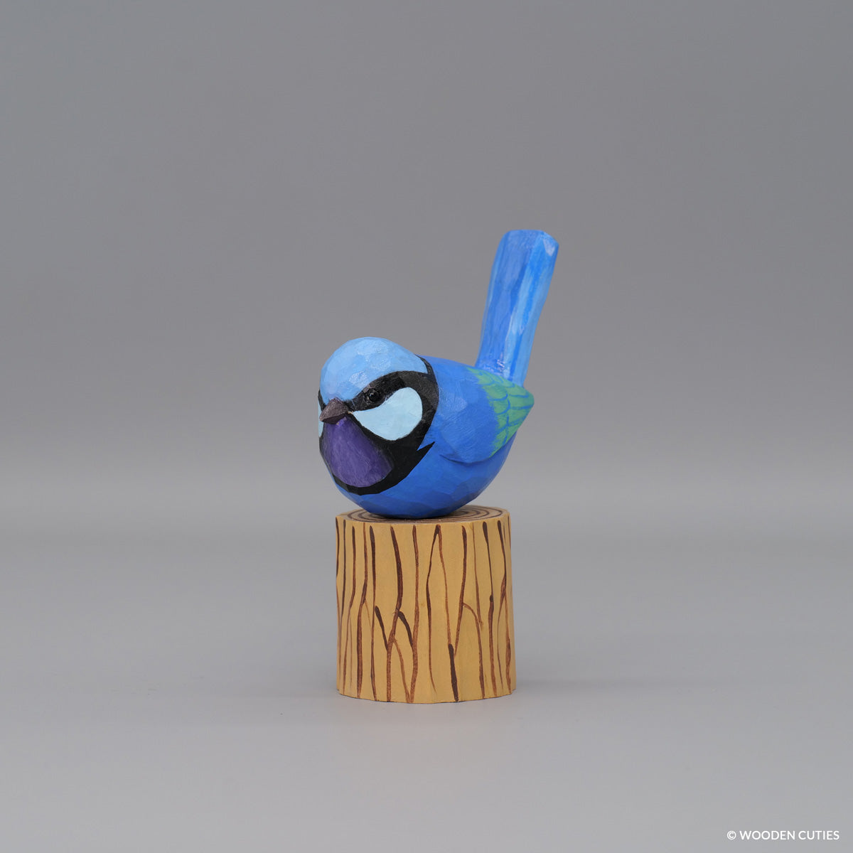 Splendid Fairywren #6 + Stand