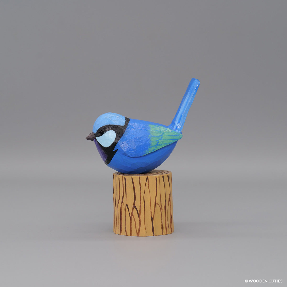 Splendid Fairywren #6 + Stand