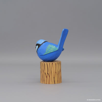 Splendid Fairywren #6 + Stand