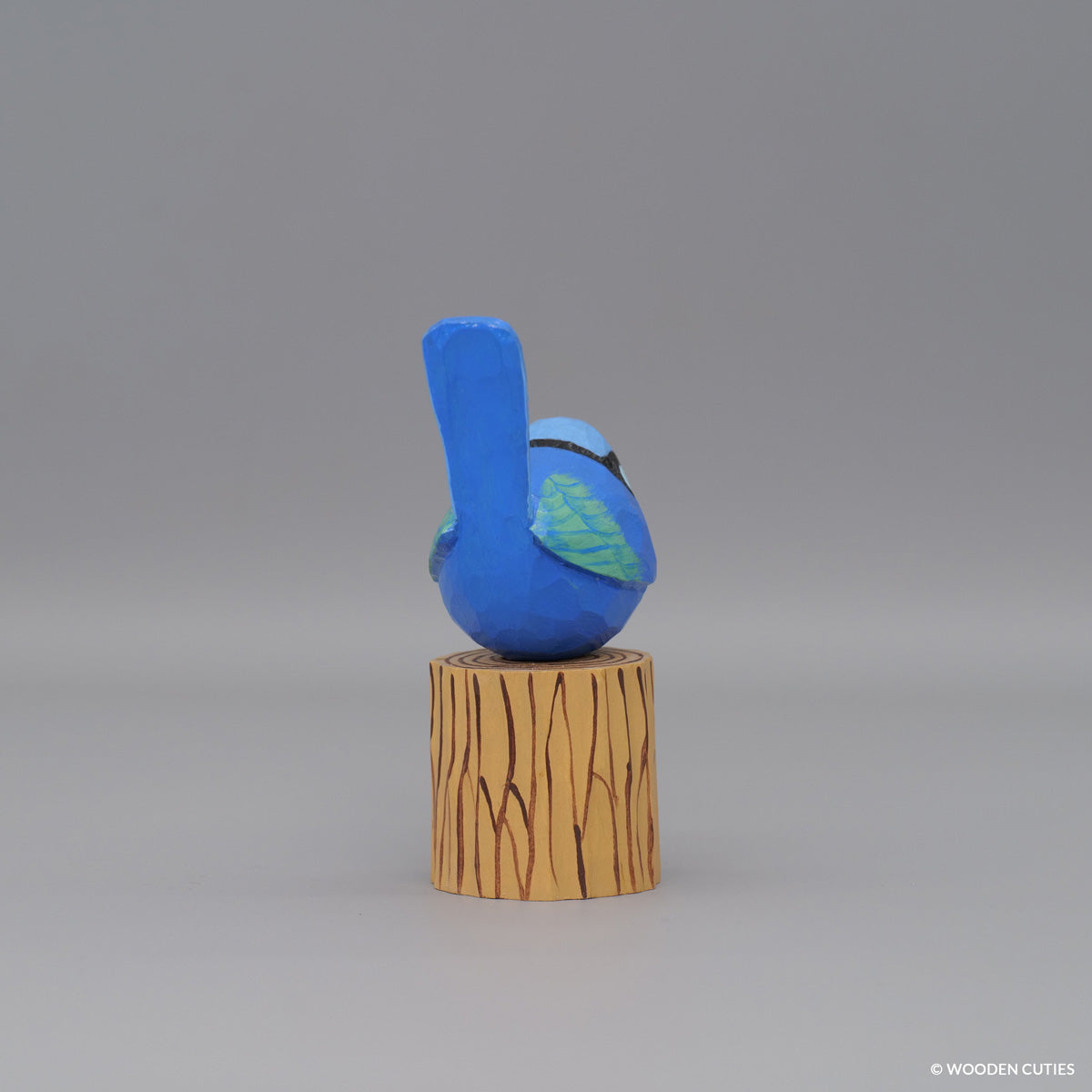 Splendid Fairywren #6 + Stand