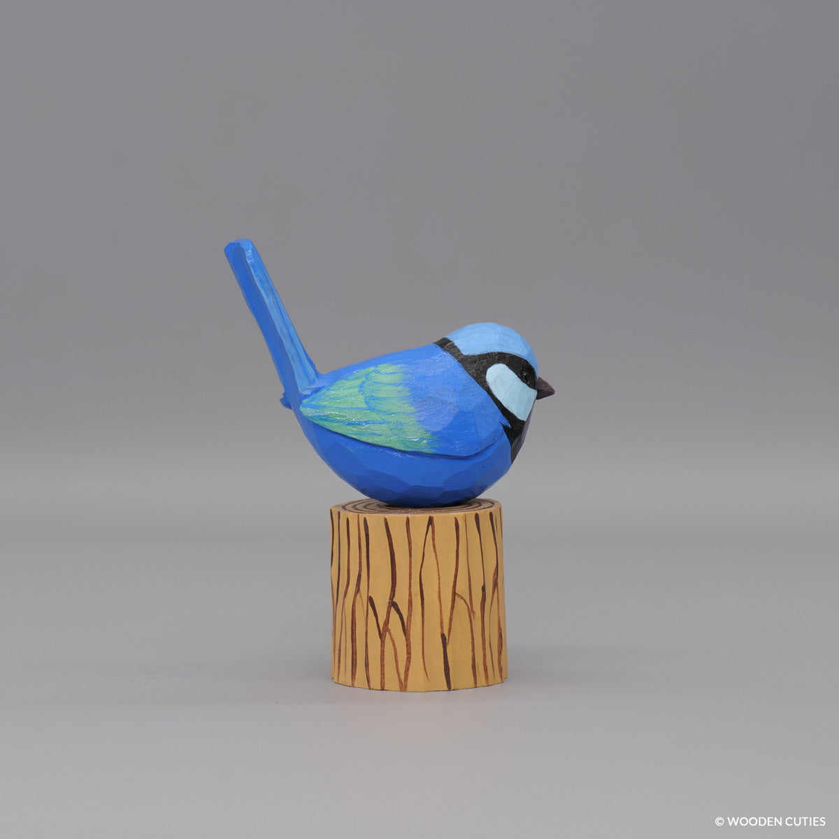 Splendid Fairywren #6 + Stand