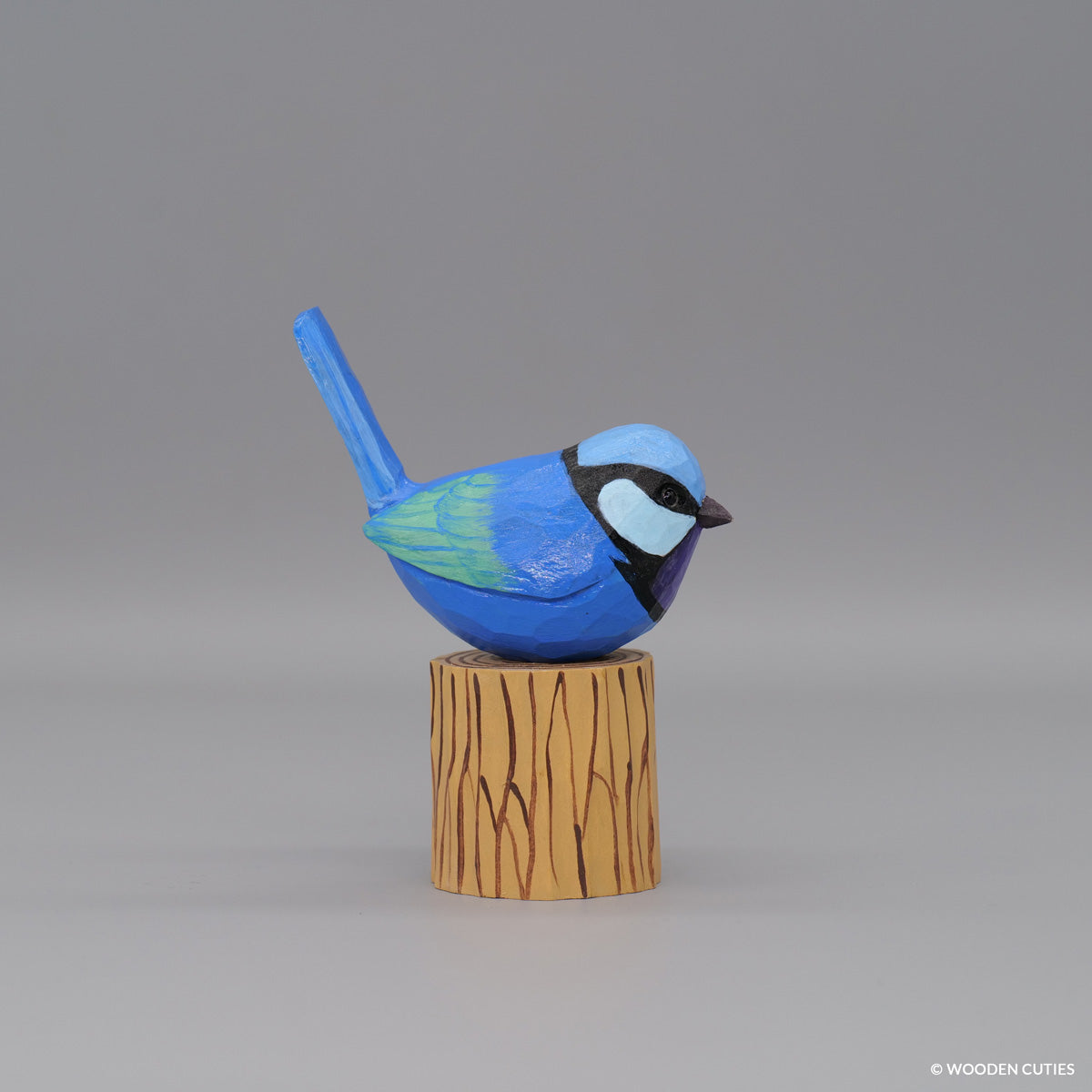 Splendid Fairywren #6 + Stand