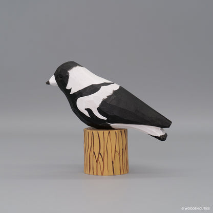 Australian Magpie #10 + Stand