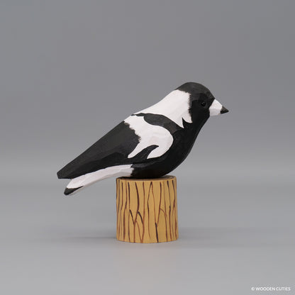 Australian Magpie #10 + Stand