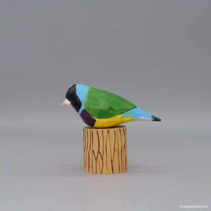 Gouldian Finch #3 + Stand