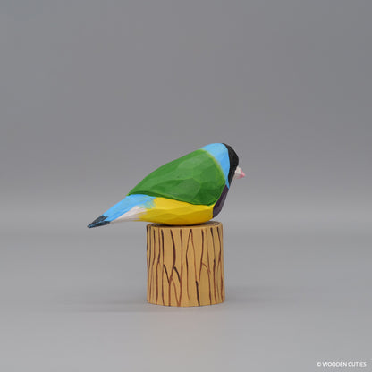 Gouldian Finch #3 + Stand