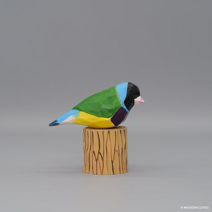 Gouldian Finch #3 + Stand