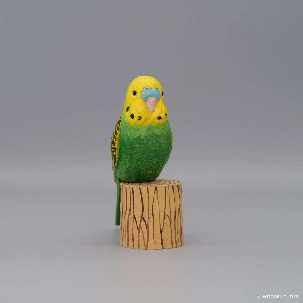 Budgerigar #7 + Stand