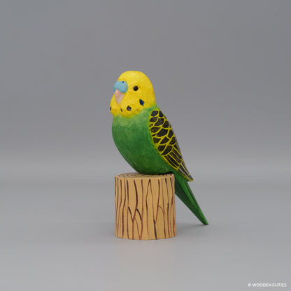 Budgerigar #7 + Stand