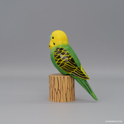 Budgerigar #7 + Stand