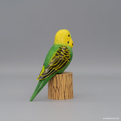 Budgerigar #7 + Stand