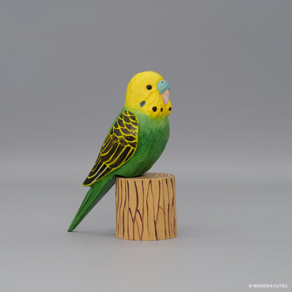 Budgerigar #7 + Stand