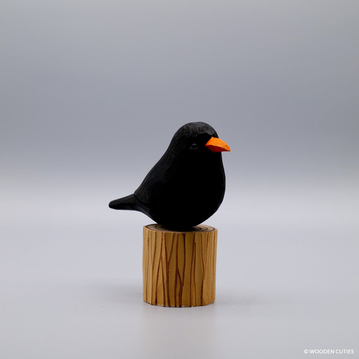 Blackbird #9 + Stand