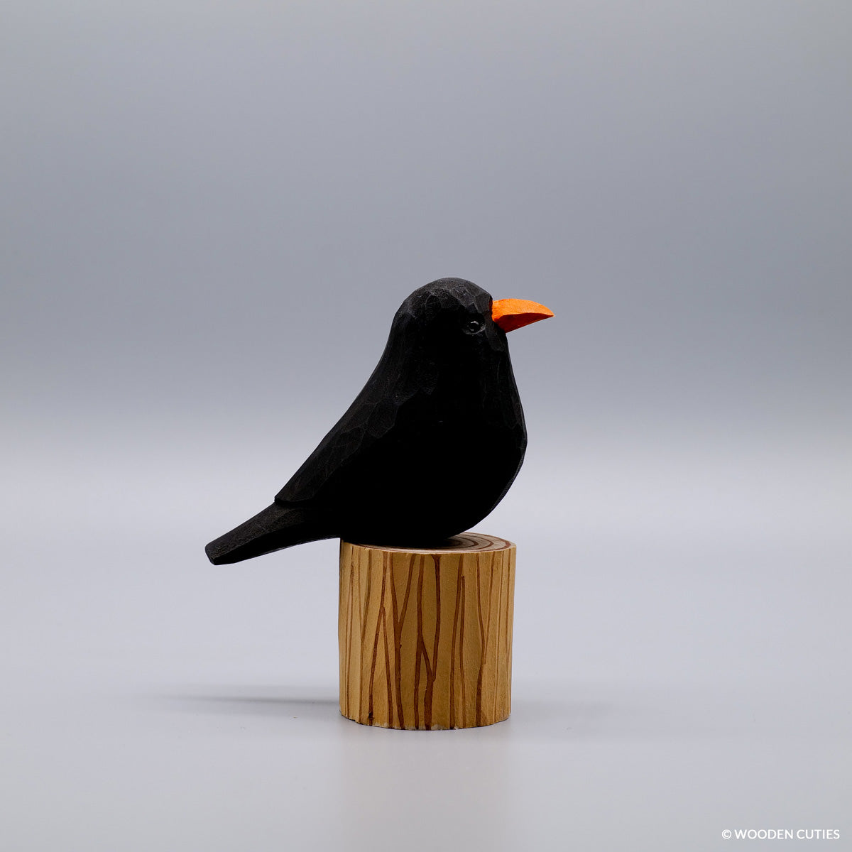 Zwarte vogel + Stand