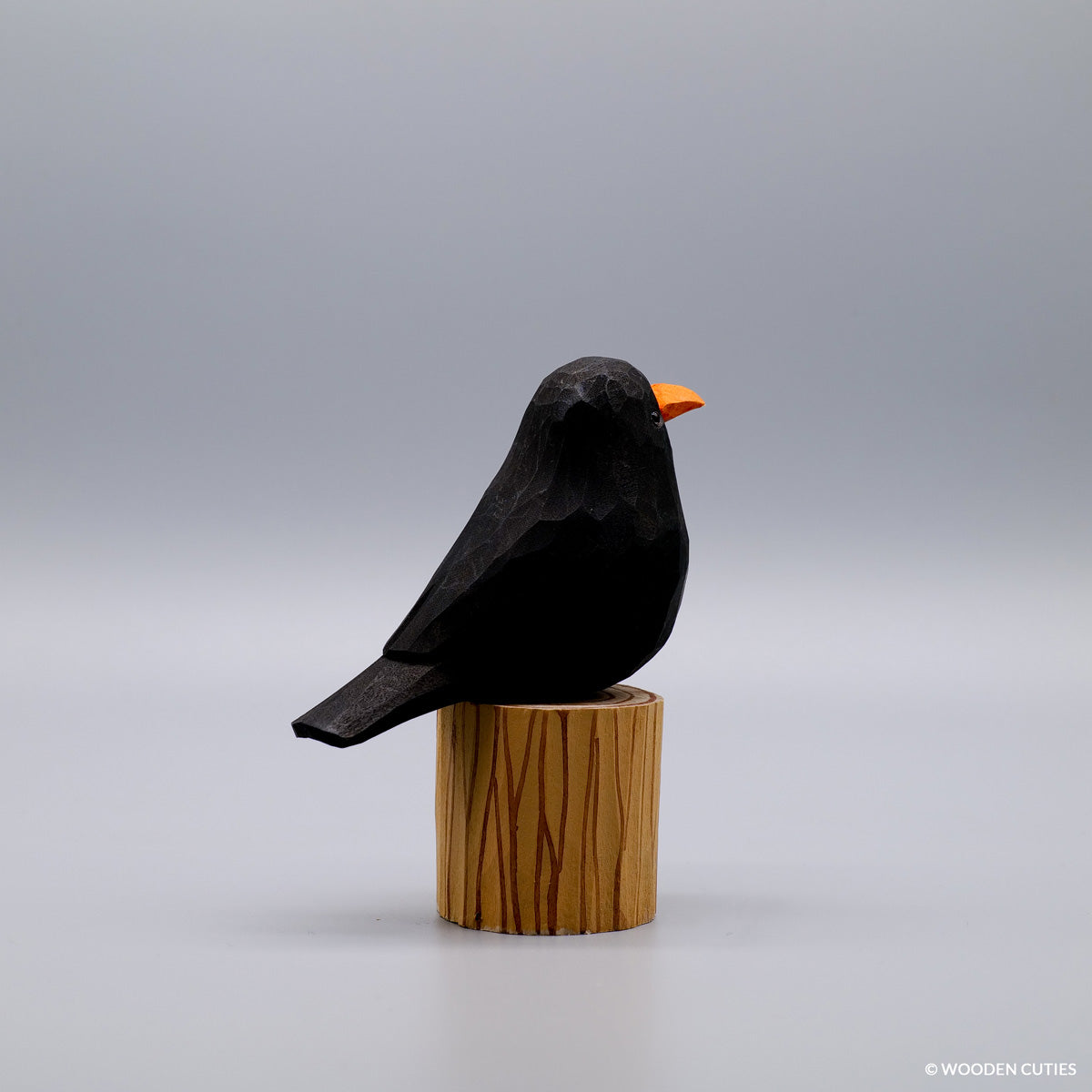 Blackbird #9 + Stand