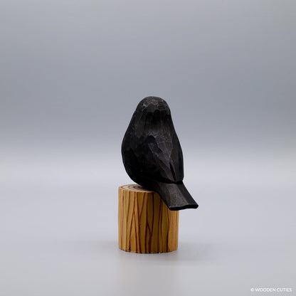 Zwarte vogel + Stand