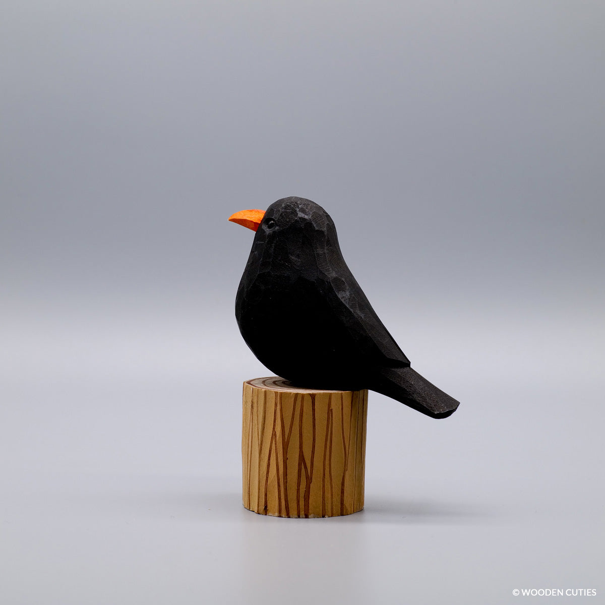 Blackbird #9 + Stand