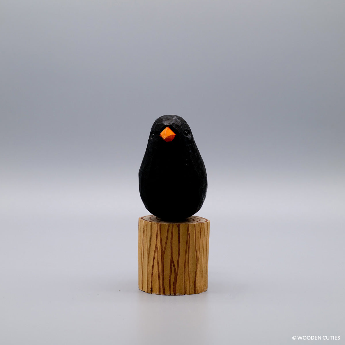 Zwarte vogel + Stand