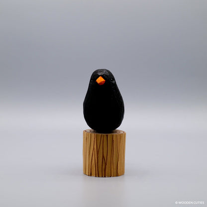 Zwarte vogel + Stand