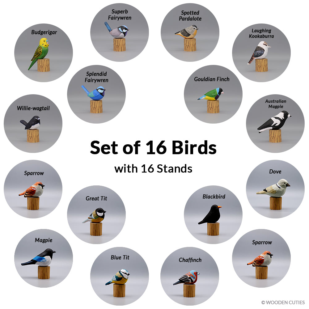 Set of 16 Birds + 16 Stands – Wooden Cuties 🌱 Europe