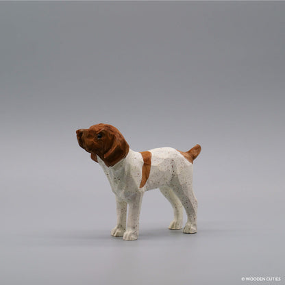 Duitse Staande Hond