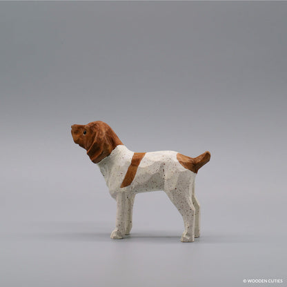 Duitse Staande Hond