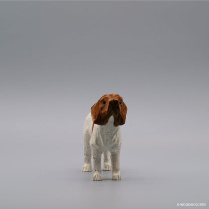 Duitse Staande Hond