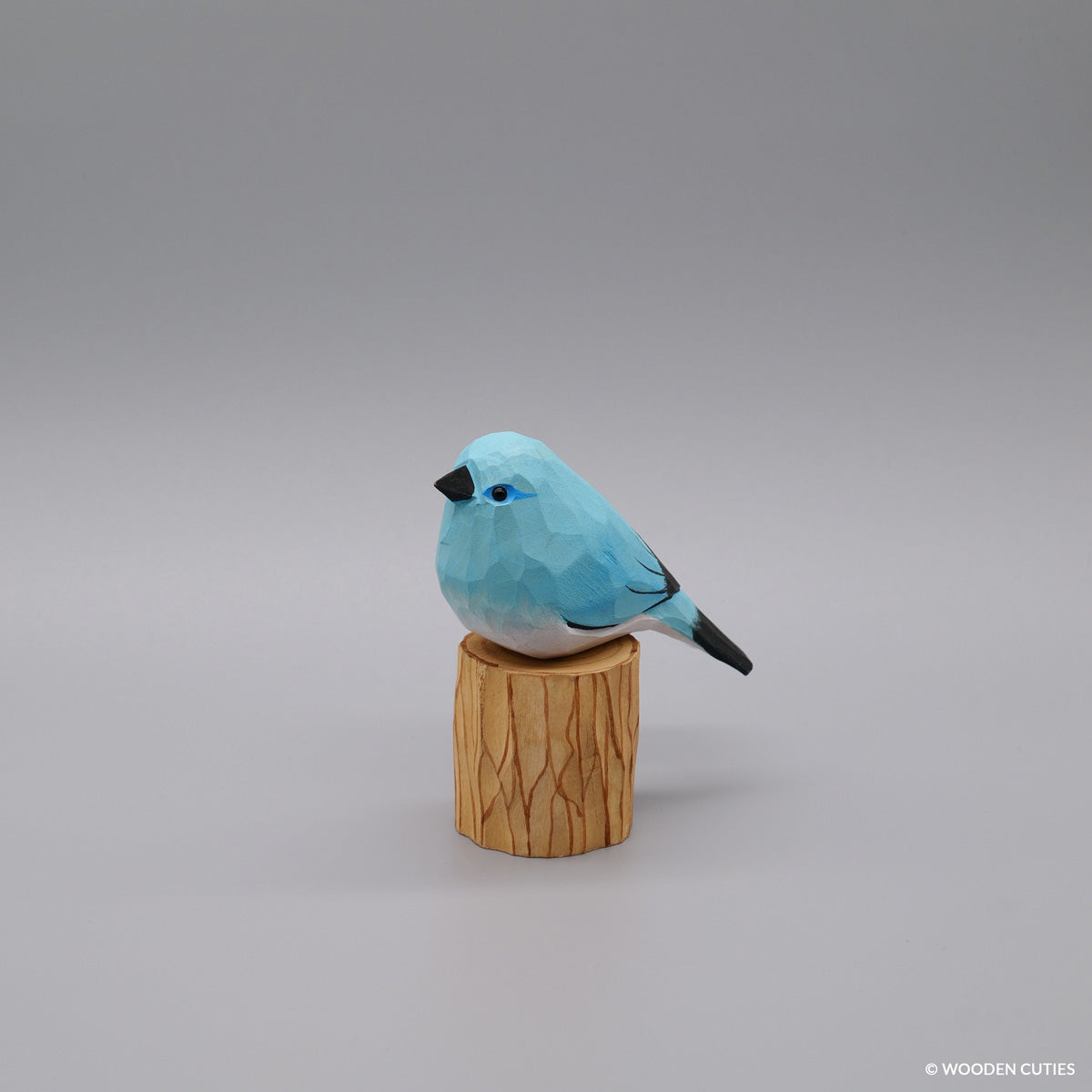 Bergblauwe Vogel + Stand