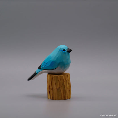 Bergblauwe Vogel + Stand